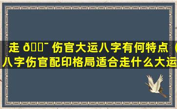 走 🐯 伤官大运八字有何特点（八字伤官配印格局适合走什么大运）